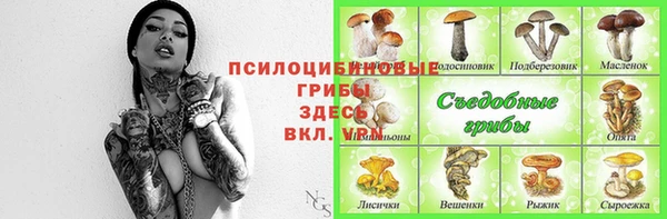 индика Верея