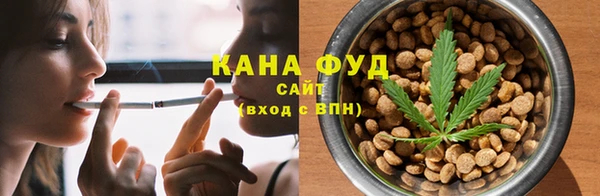 индика Верея
