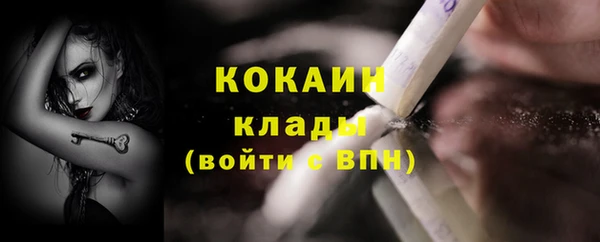 индика Верея