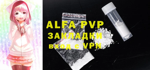 индика Верея