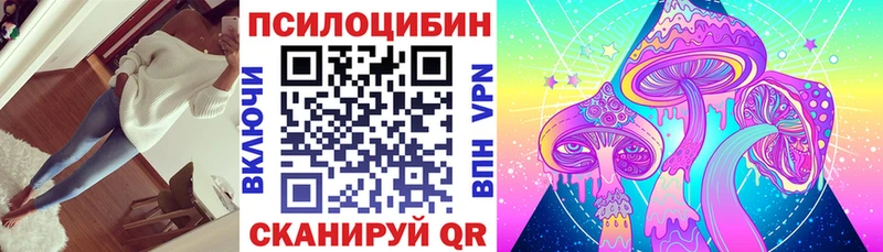 hydra tor  Каргат  Галлюциногенные грибы Magic Shrooms 